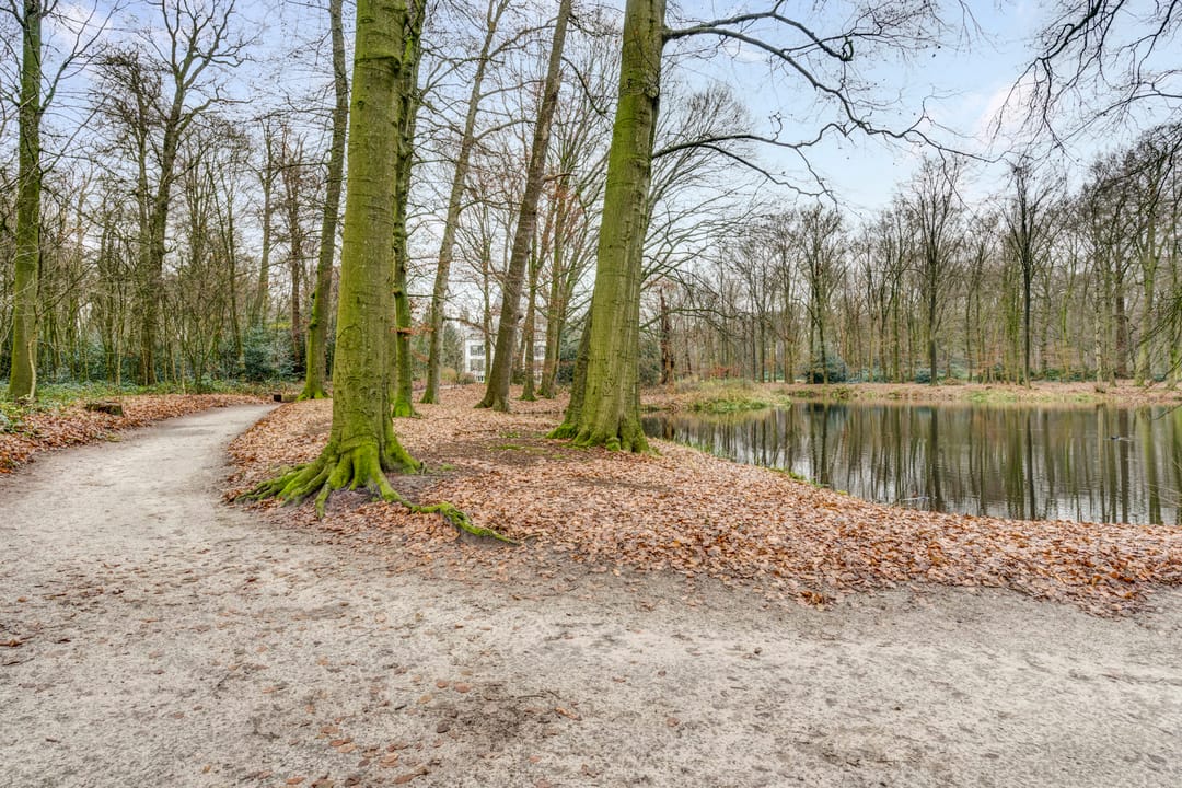 Foto 37 van van Reedeweg 72