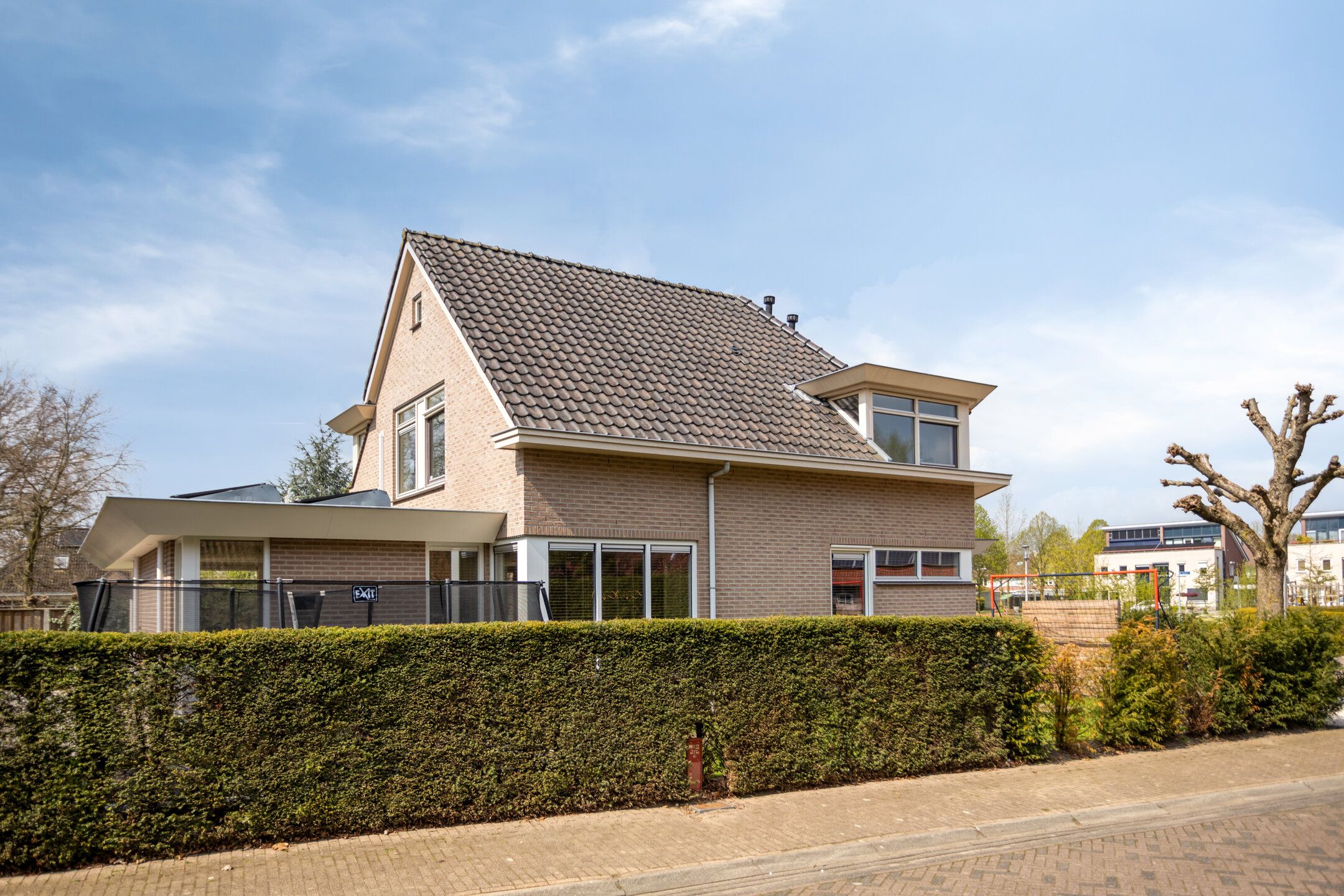 Photo 6 of Sleutelbloem 7
