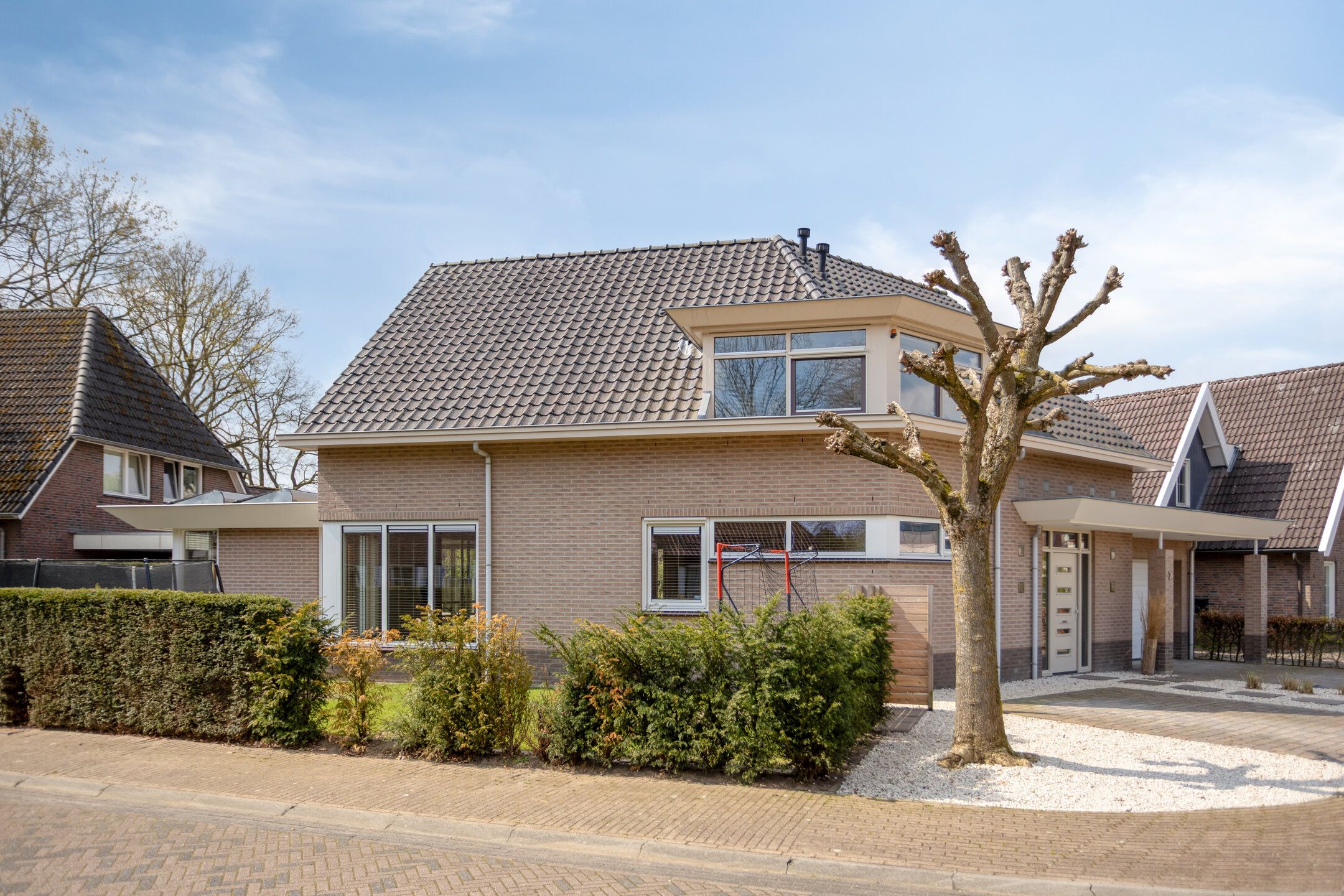 Sleutelbloem 7 
