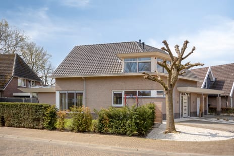 Sleutelbloem thumbnail