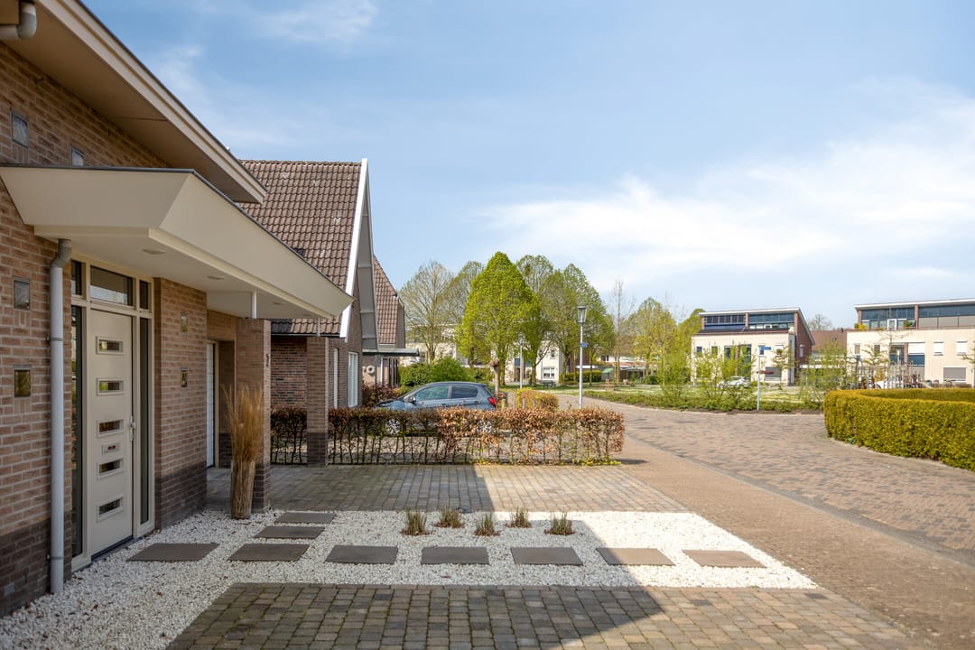 Photo 7 of Sleutelbloem 7