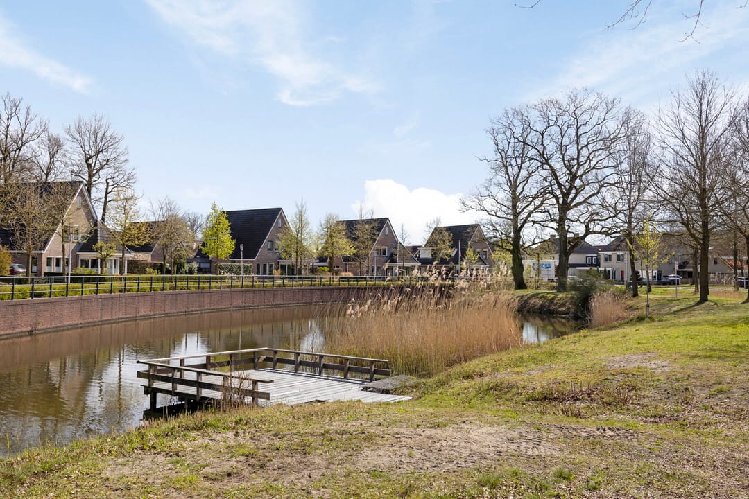 Photo 73 of Sleutelbloem 7