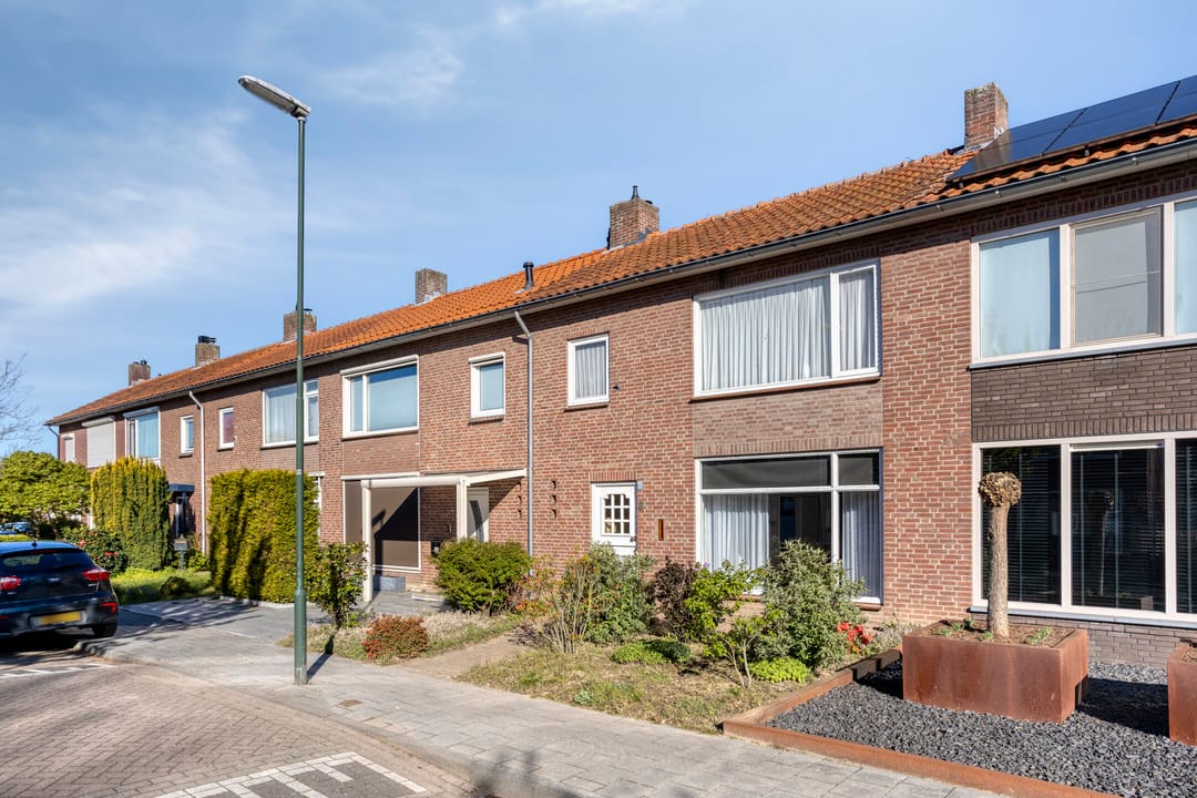 Photo 7 of Pegasus 8
