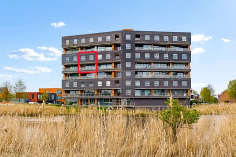 Puerto Ricostraat thumbnail