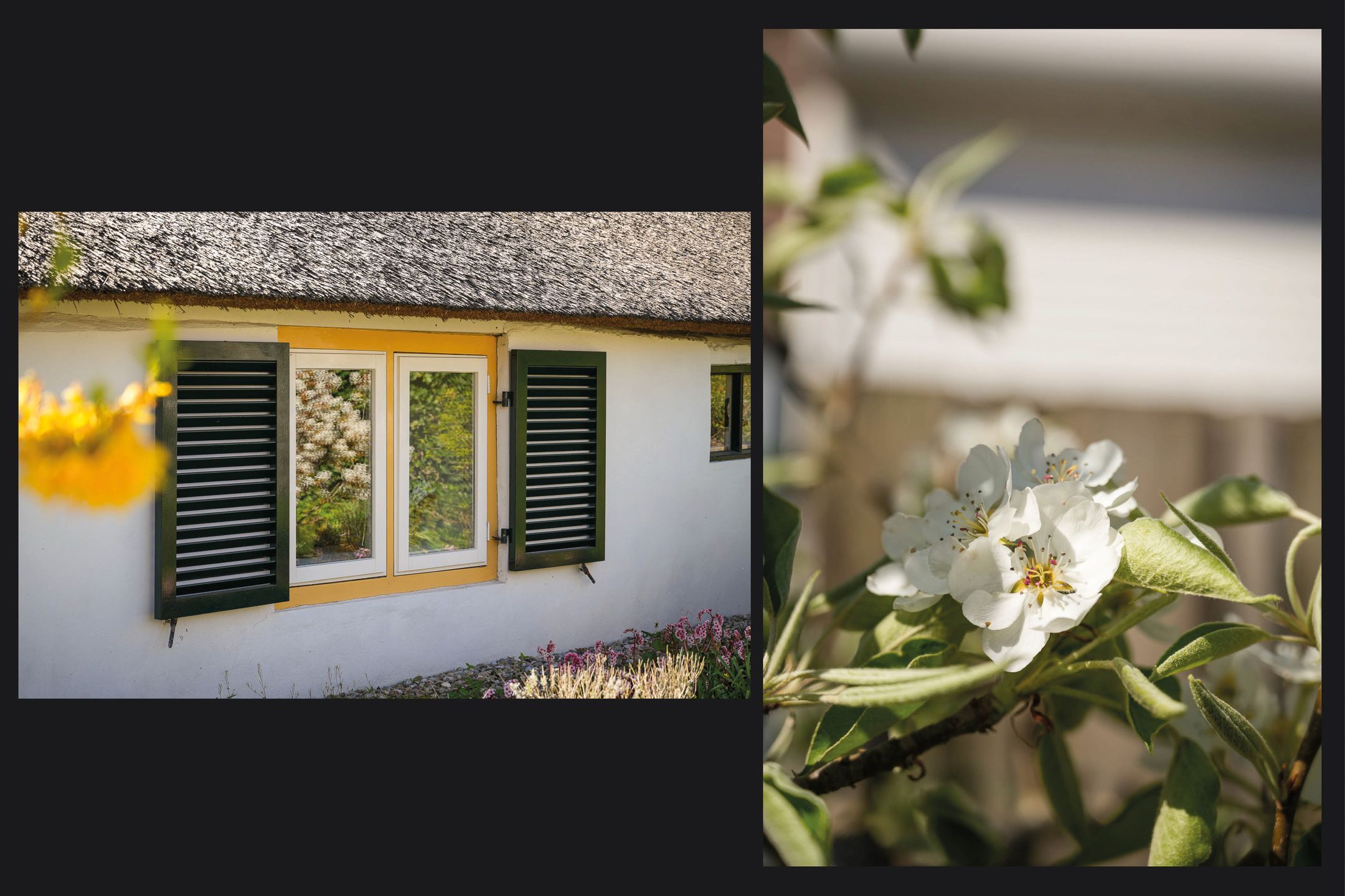 Monumental Thatched Farmhouse with Energy Label A and B&B in Waardenburg — 33