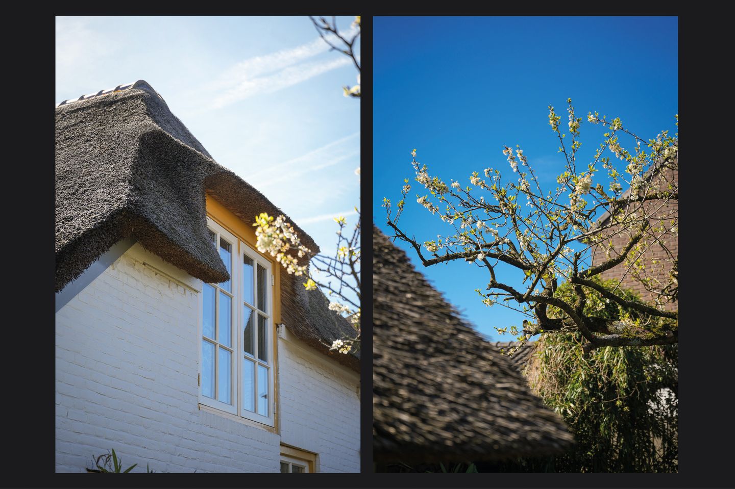 Monumental Thatched Farmhouse with Energy Label A and B&B in Waardenburg — 34