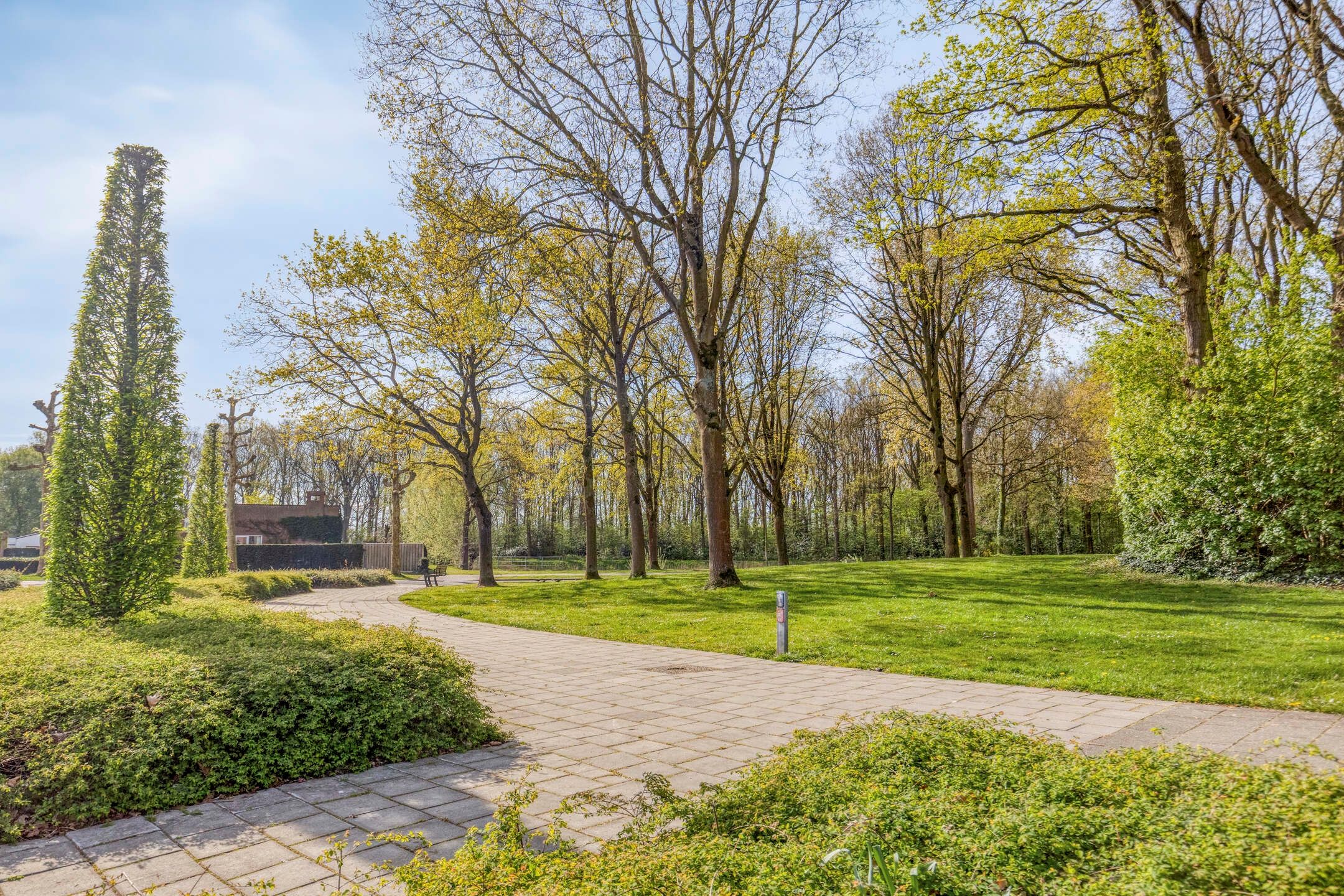 Foto 36 van Liniestraat 303