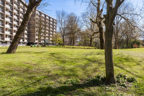 Jan Luykenlaan thumbnail