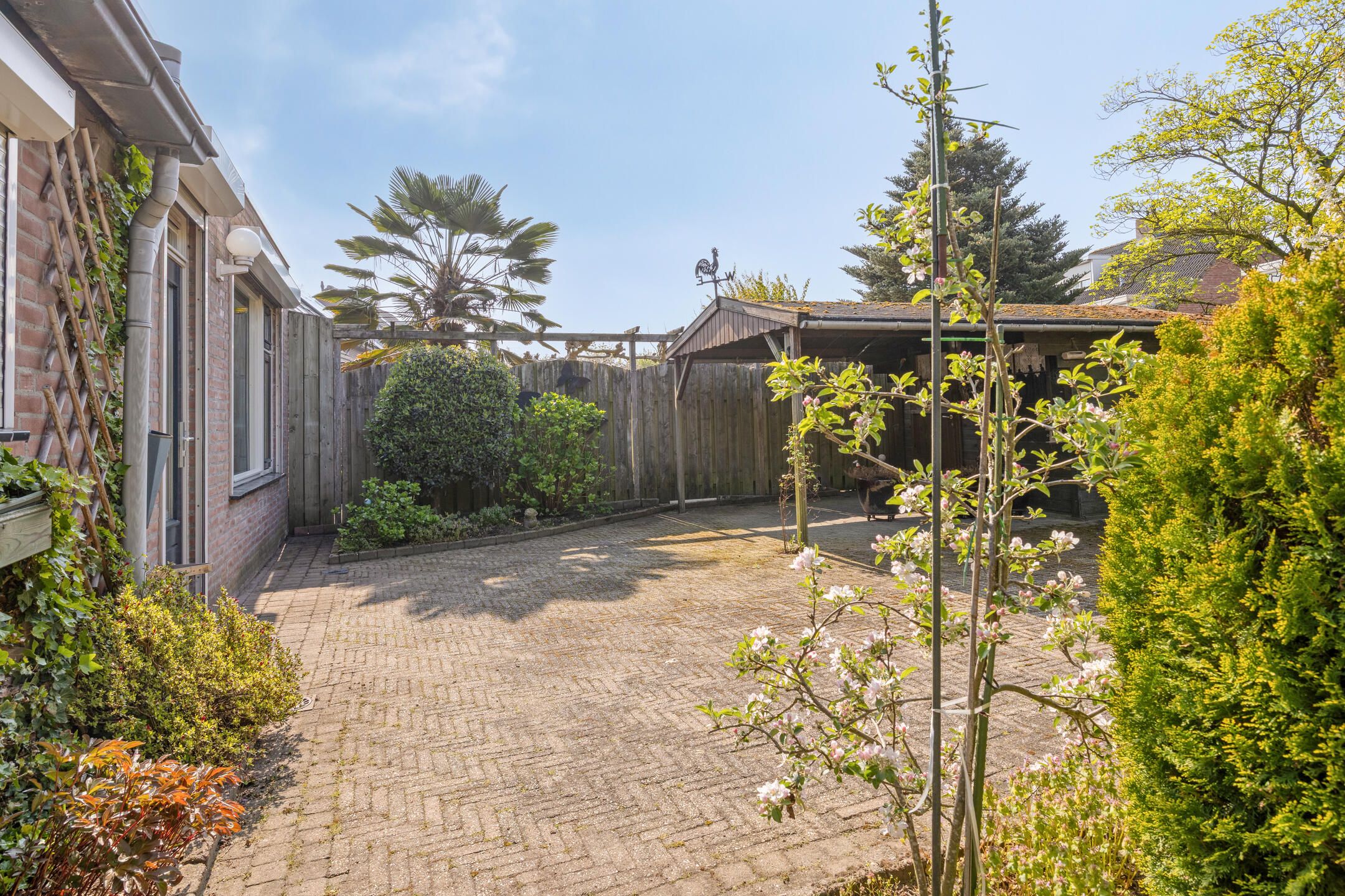 Photo 24 of Veulenweide 1