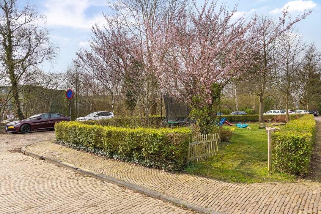 Foto 43 van Dorus Rijkersstraat 3