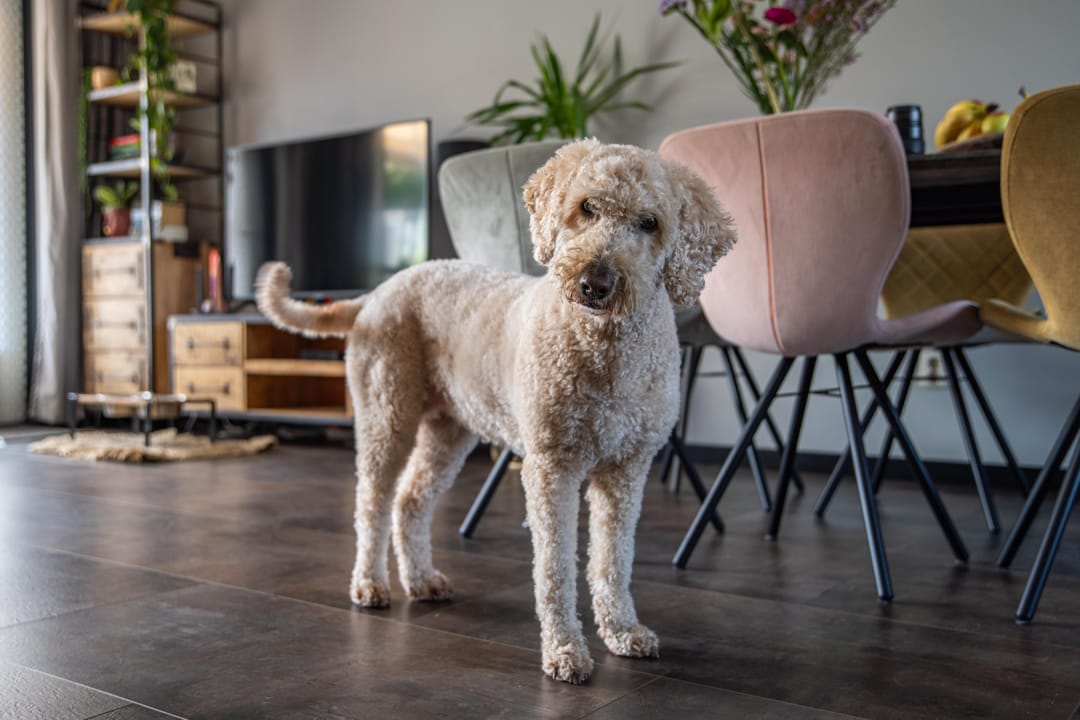 Foto 17 van Matzkaplein 7