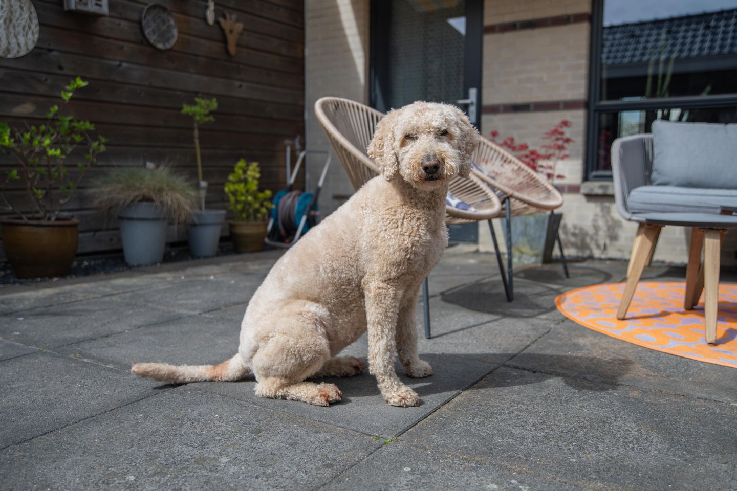 Foto 34 van Matzkaplein 7