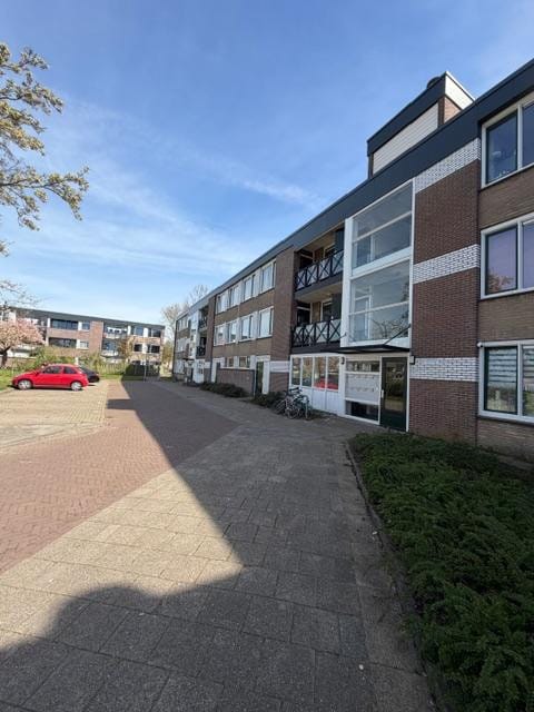 Scholeksterstraat 80 