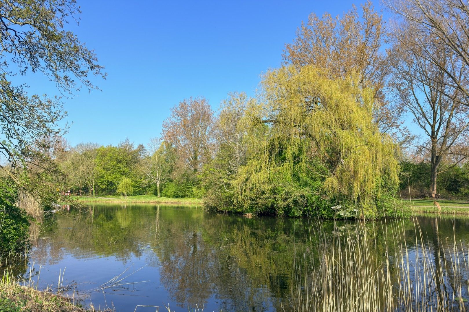 Foto 30 van Koewei 56