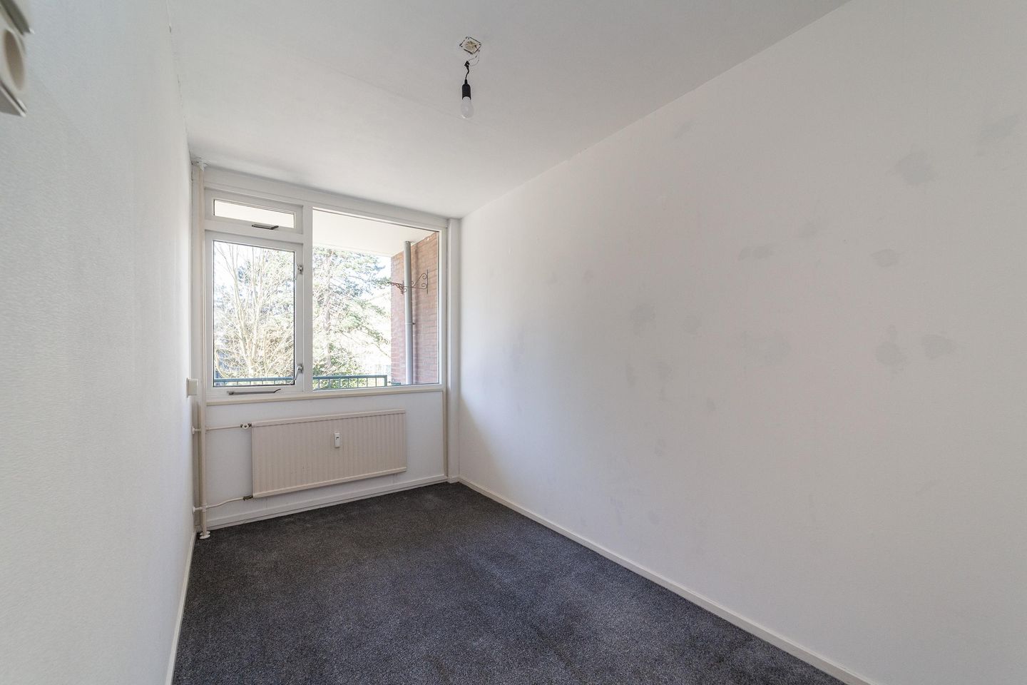 Foto 25 van Opaalstraat 269