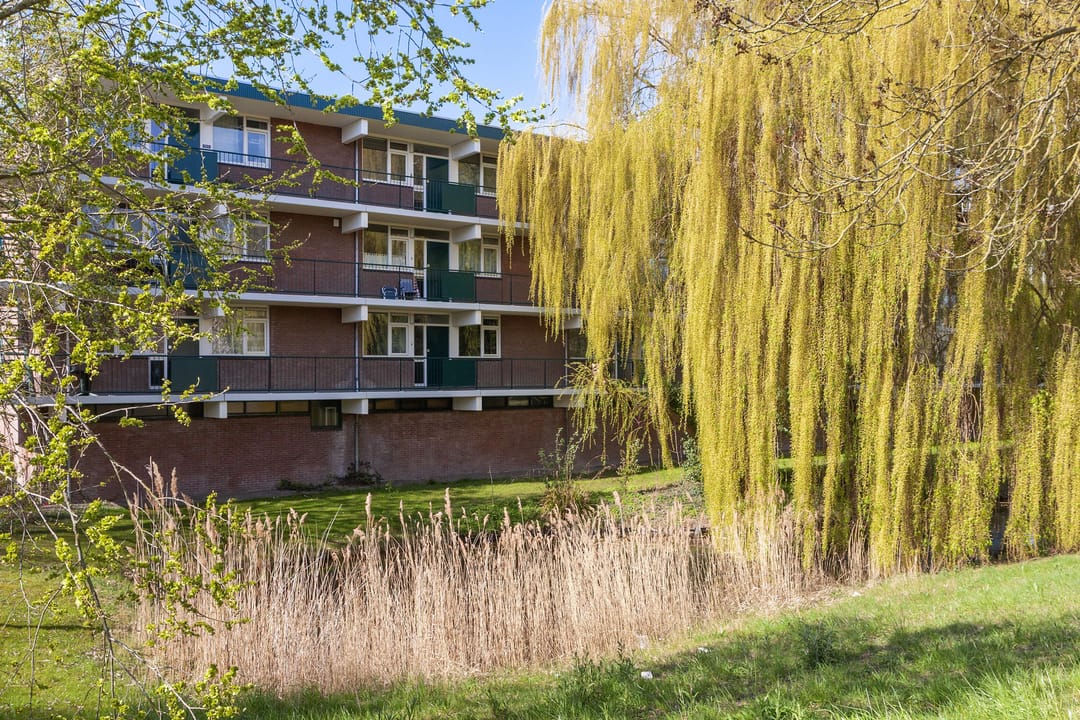 Foto 31 van Opaalstraat 269