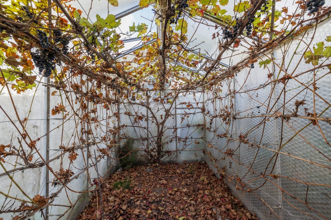 Foto 23 van 3e Loosterweg 50