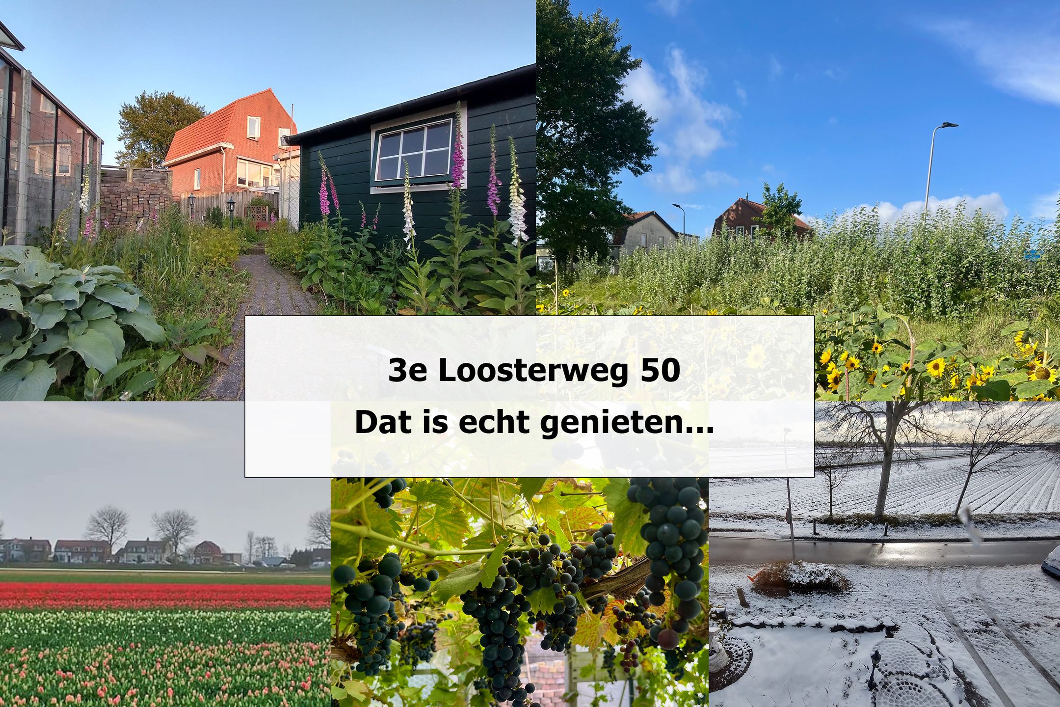 Foto 51 van 3e Loosterweg 50