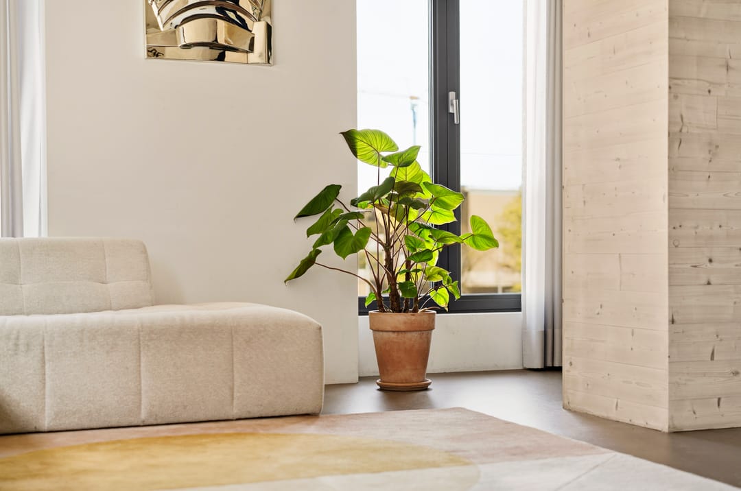 Foto 8 van Papaverweg 133