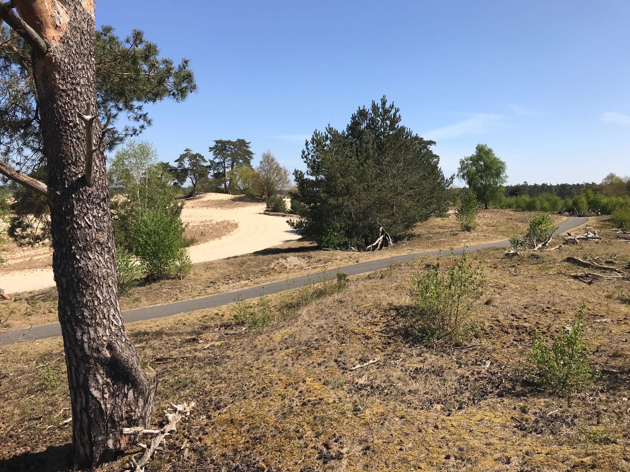 Foto 30 van Varelseweg 211-1019