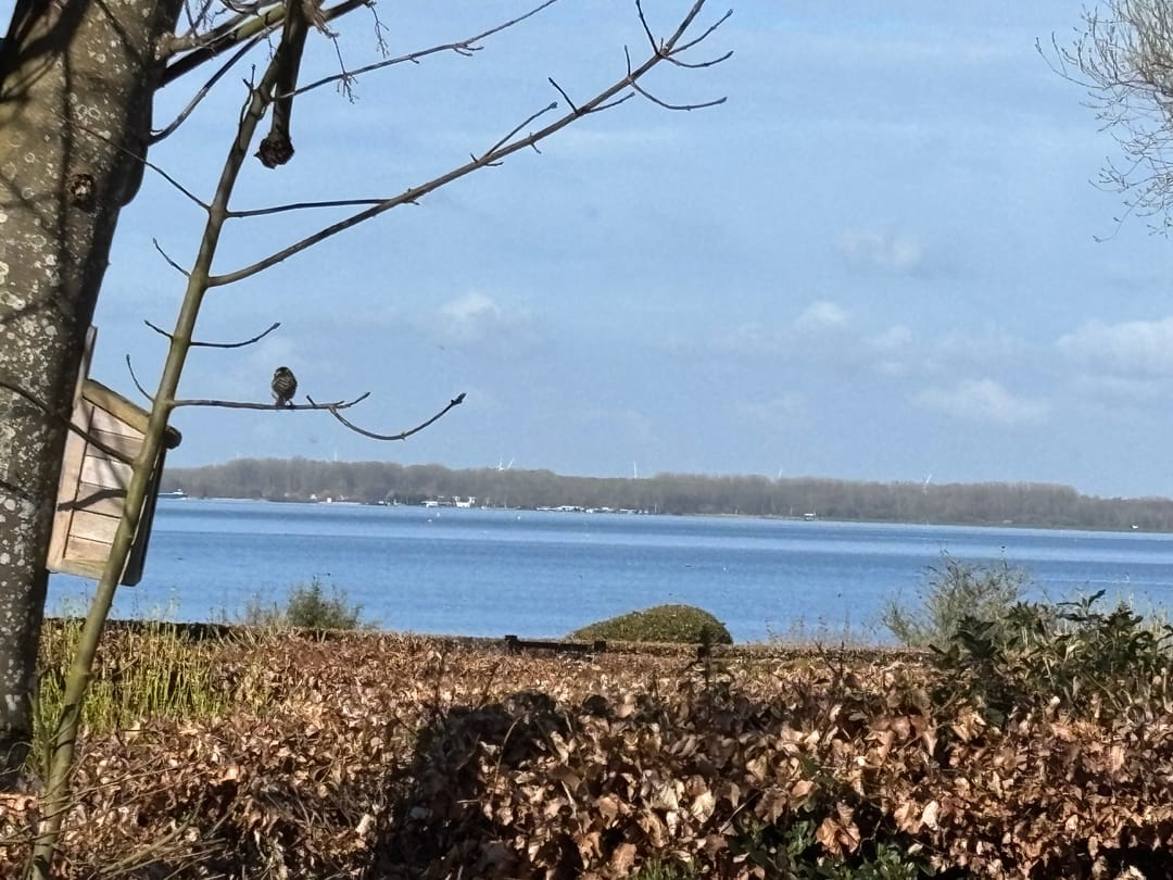 Foto 13 van Varelseweg 211-1019