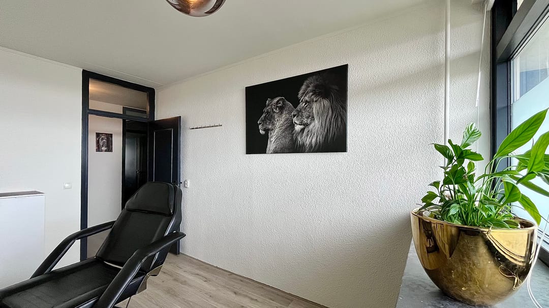 Foto 26 van Steenvoordelaan 336