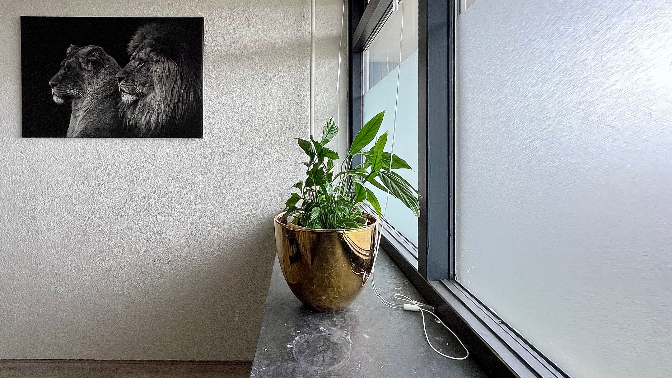 Foto 27 van Steenvoordelaan 336