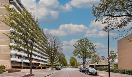 Steenvoordelaan thumbnail