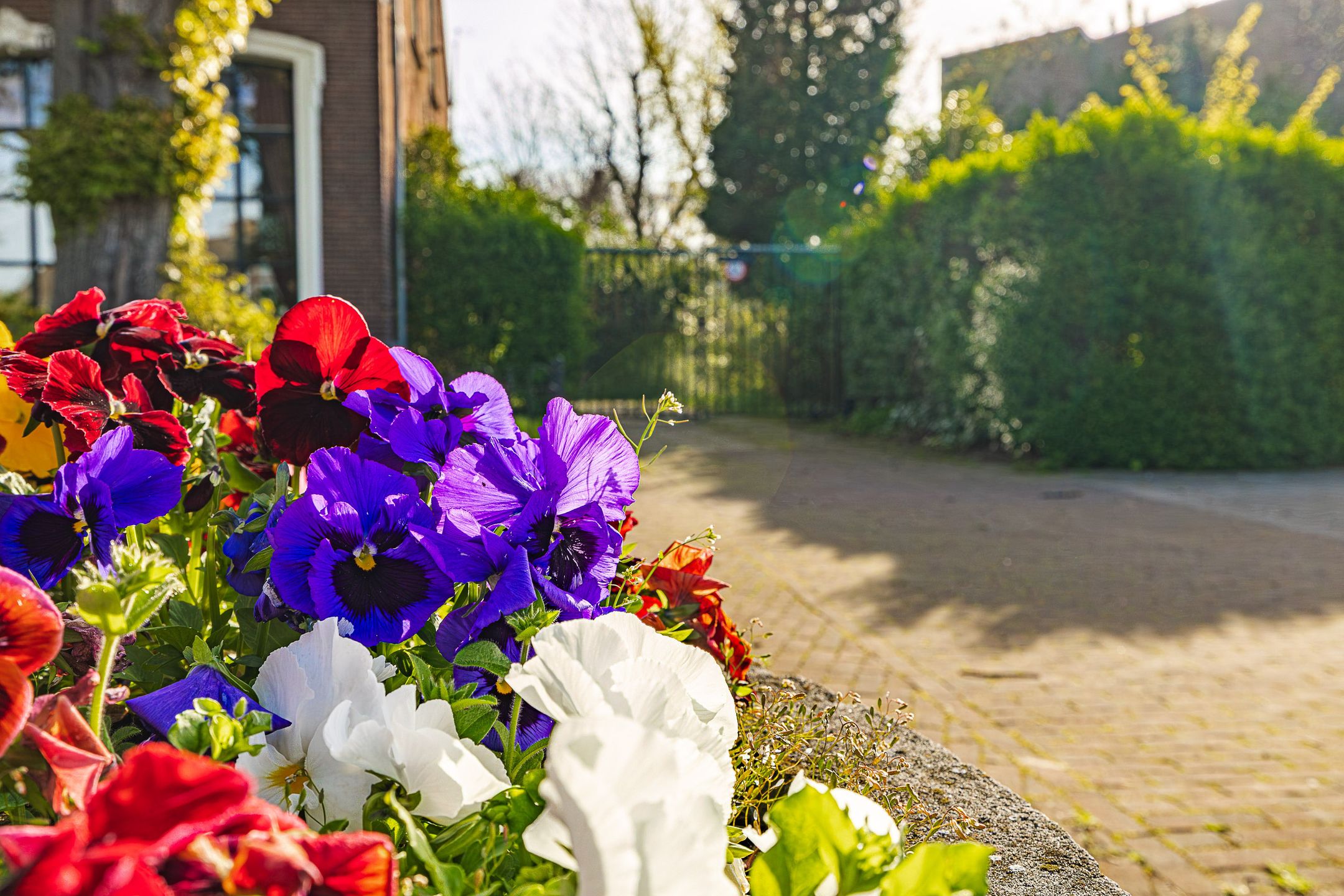 Foto 39 van De Schans 49-B