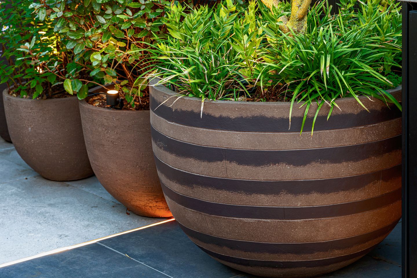 Photo 50 of Stadionweg 271-3