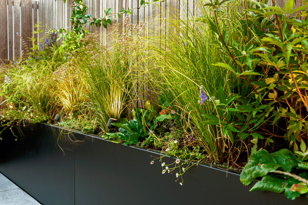 Photo 47 of Stadionweg 271-3