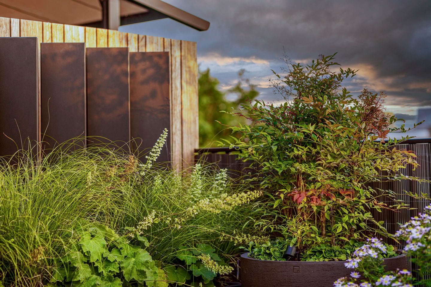 Photo 49 of Stadionweg 271-3