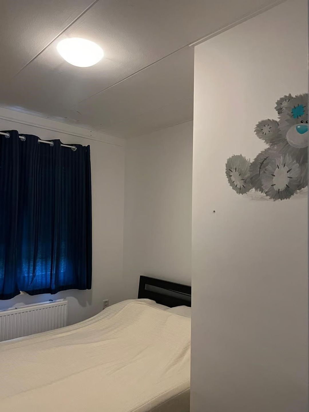 Foto 8 van Alfons Ariënsstraat 20