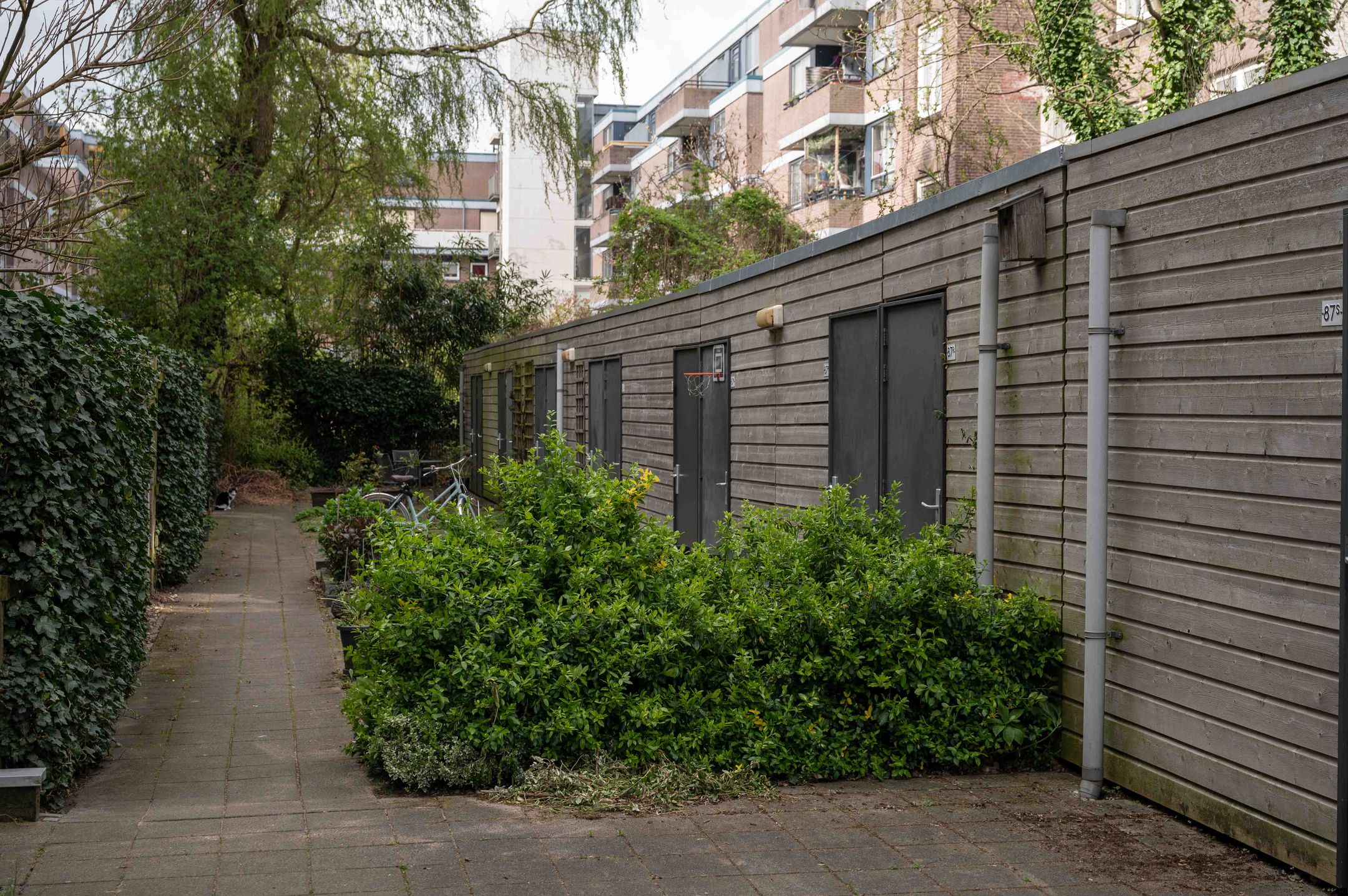 Foto 33 van Ruyschstraat 87-K