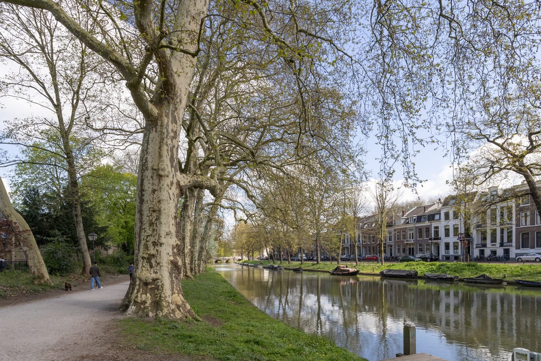 Foto 41 van Schutterstraat 5