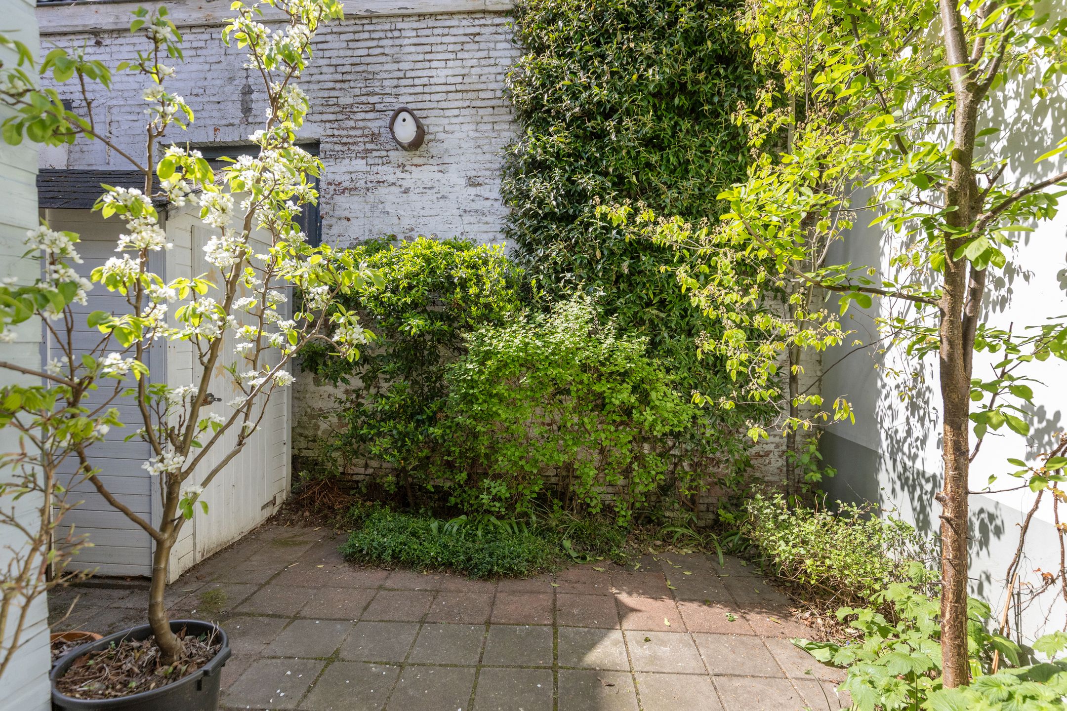 Foto 21 van Schutterstraat 5