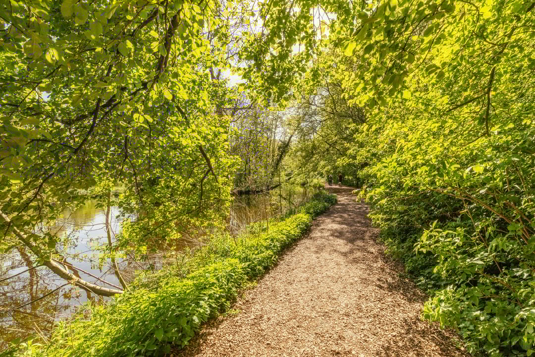 Foto 28 van Zocherstraat 53-2