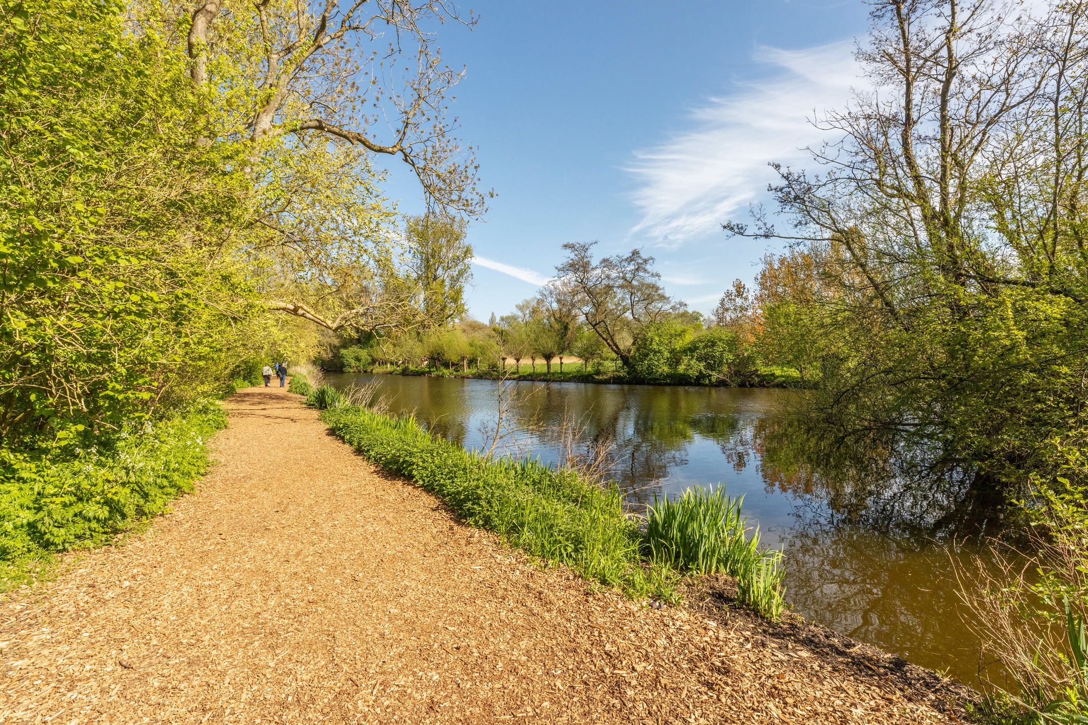 Foto 27 van Zocherstraat 53-2