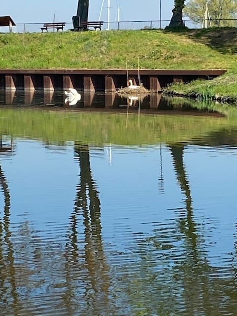 Photo 19 of in 't Broek 5-188