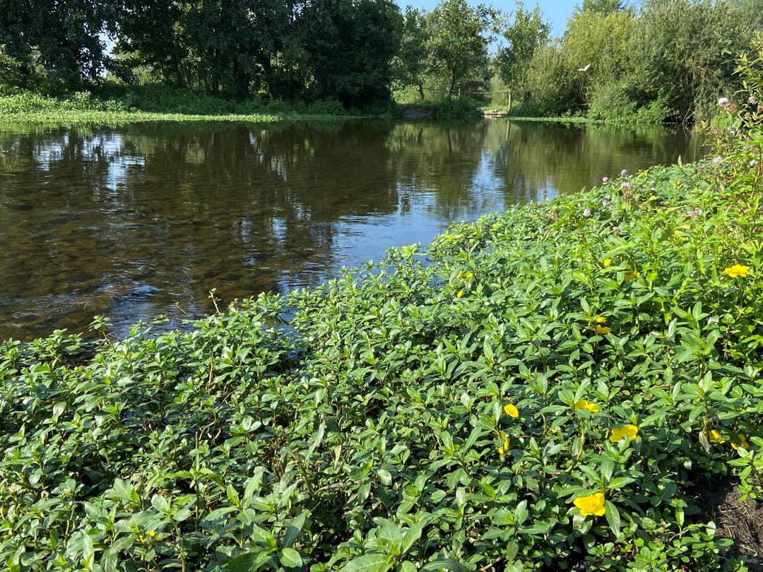 Photo 23 of in 't Broek 5-188