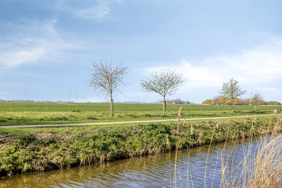 Photo 41 of De Kamp 14