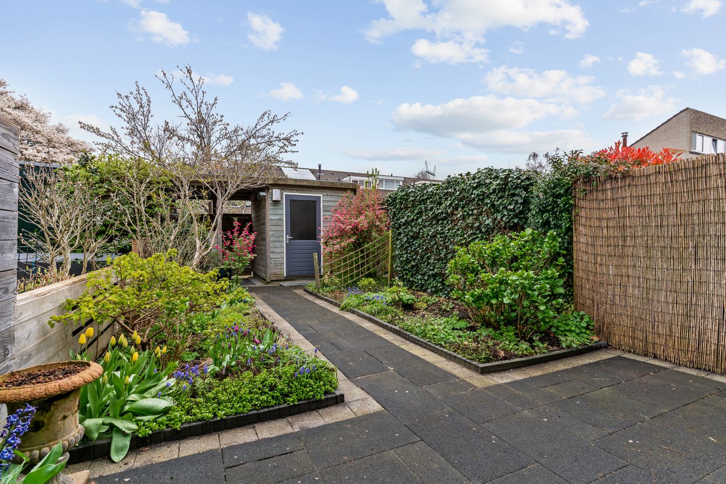 Foto 40 van Damloperwerf 29