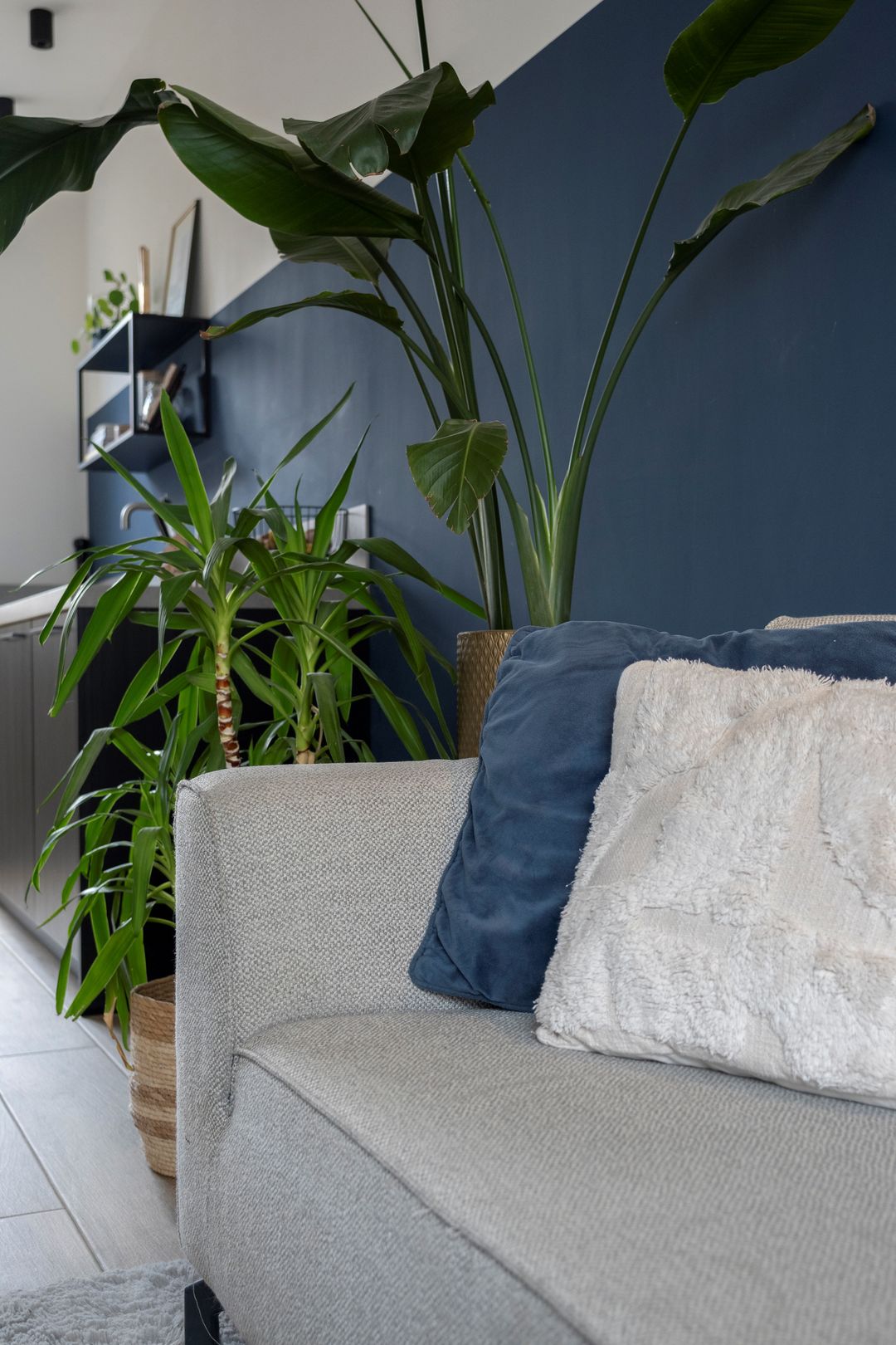 Foto 7 van Koepeldwarsstraat 21