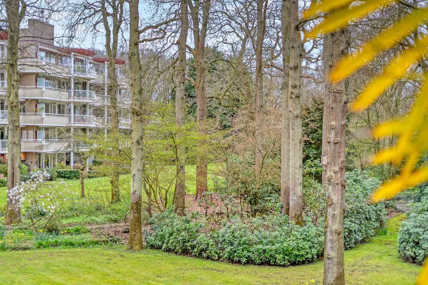 Foto 40 van Stoeplaan 9-F44