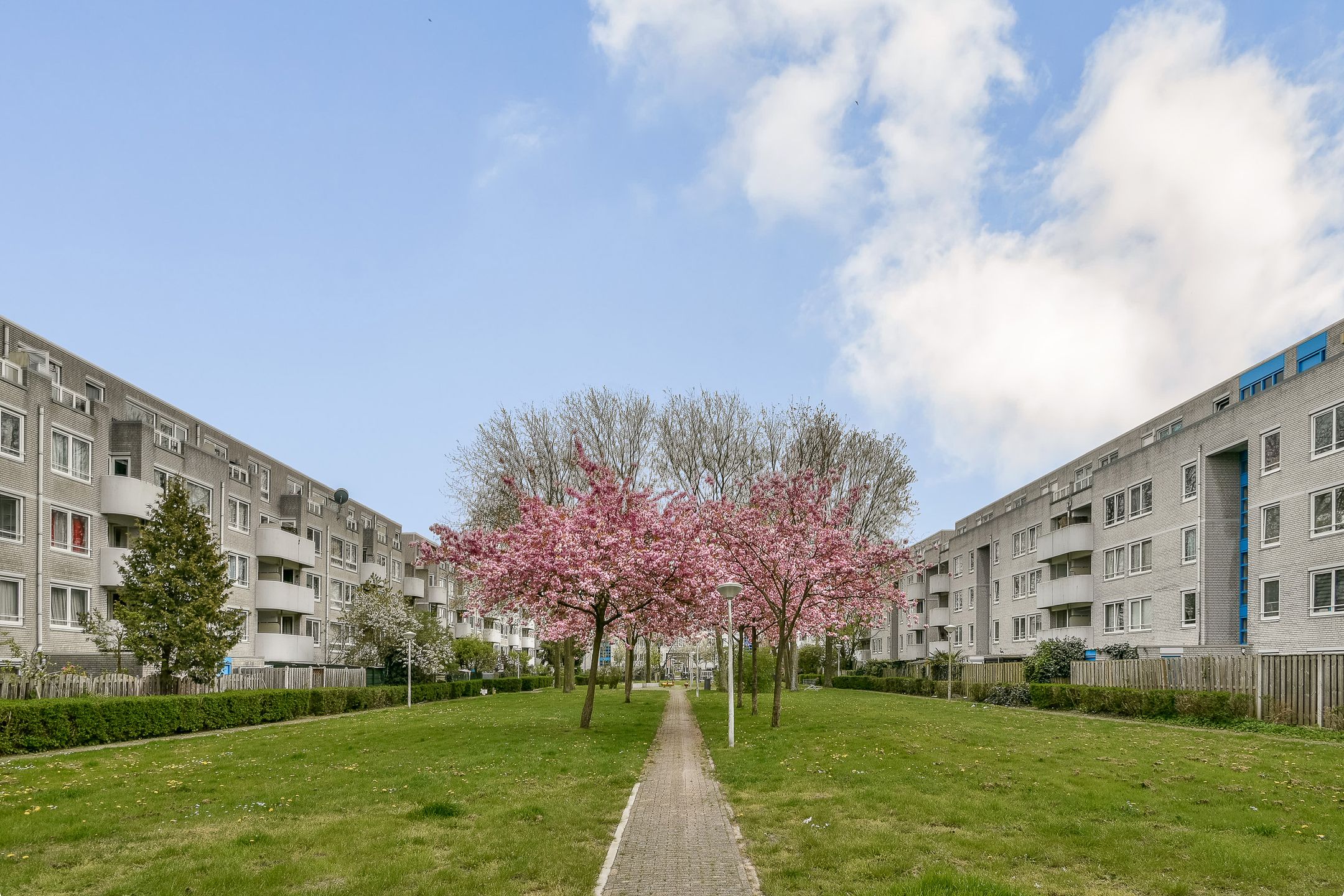 Bright top-floor apartment with south-facing balcony in Venserpolder, Amsterdam — 20