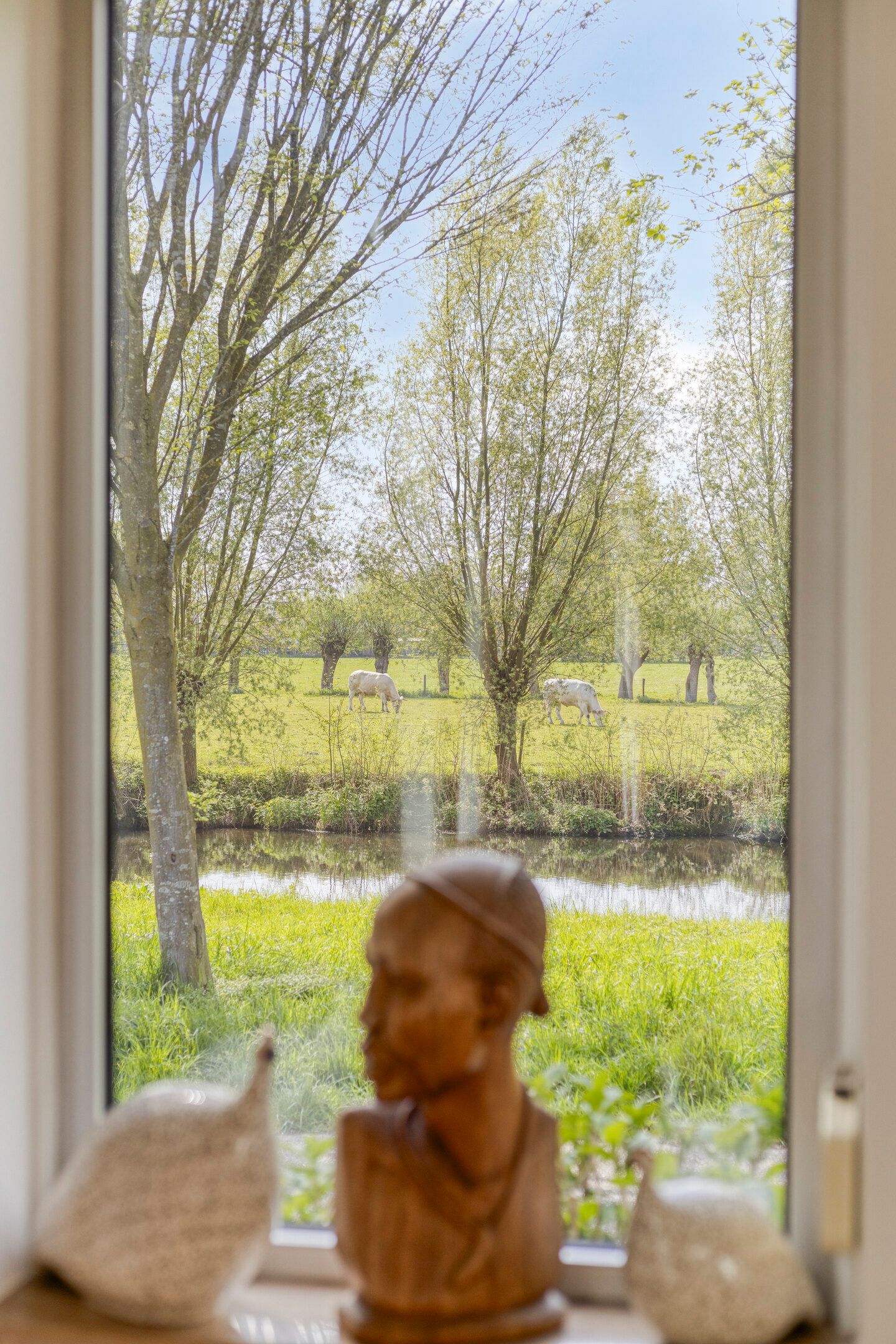 Foto 12 van Dommeloord 61