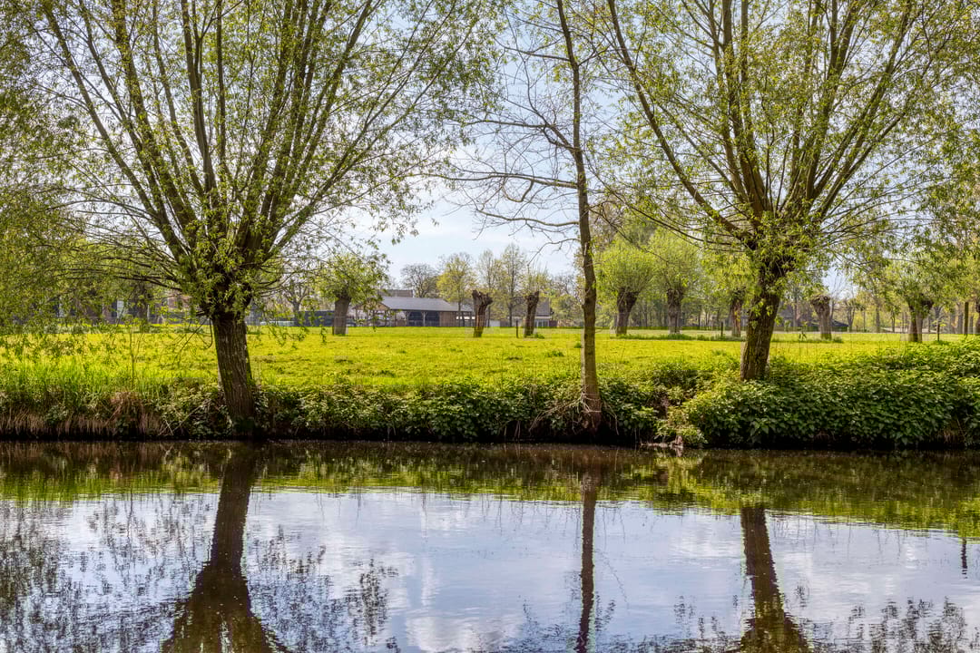 Foto 46 van Dommeloord 61