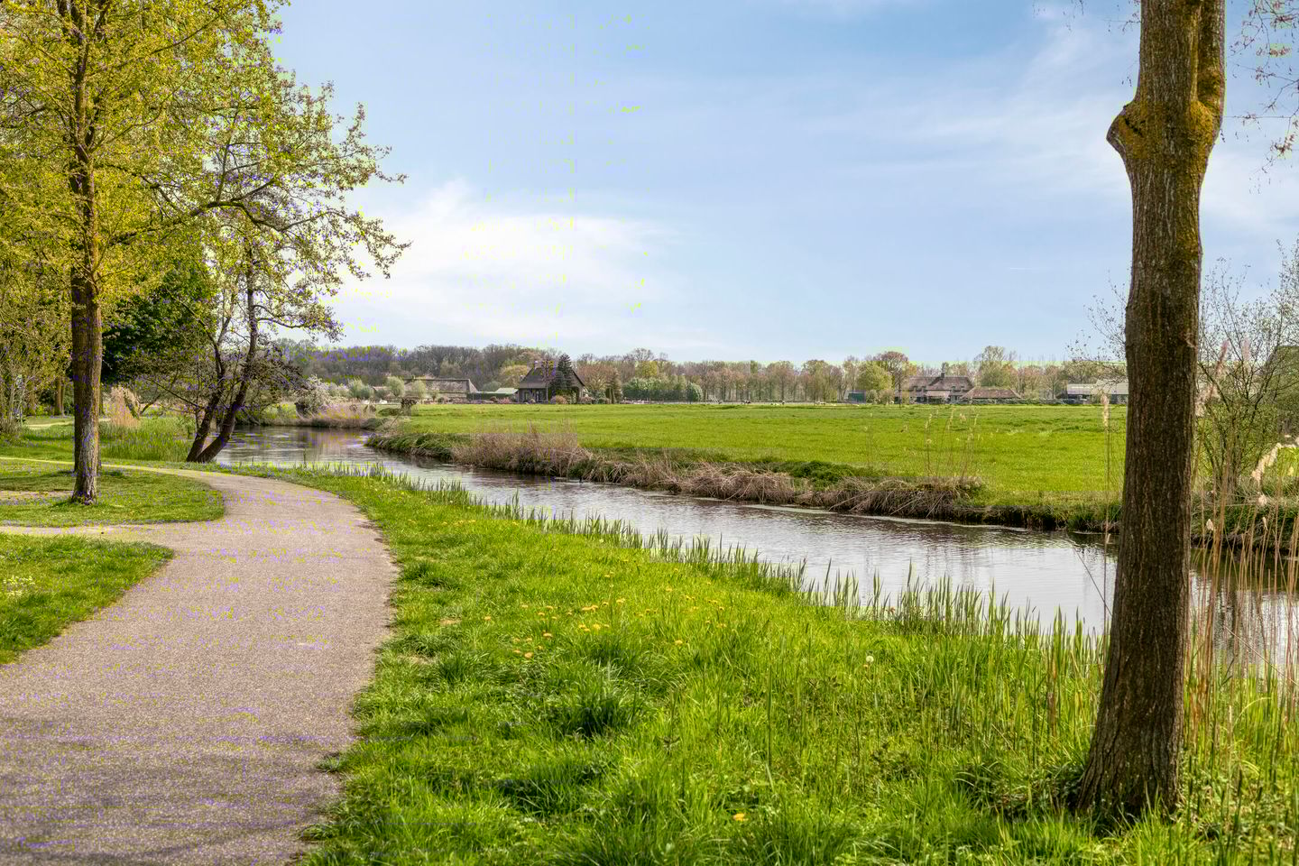 Foto 44 van Dommeloord 61