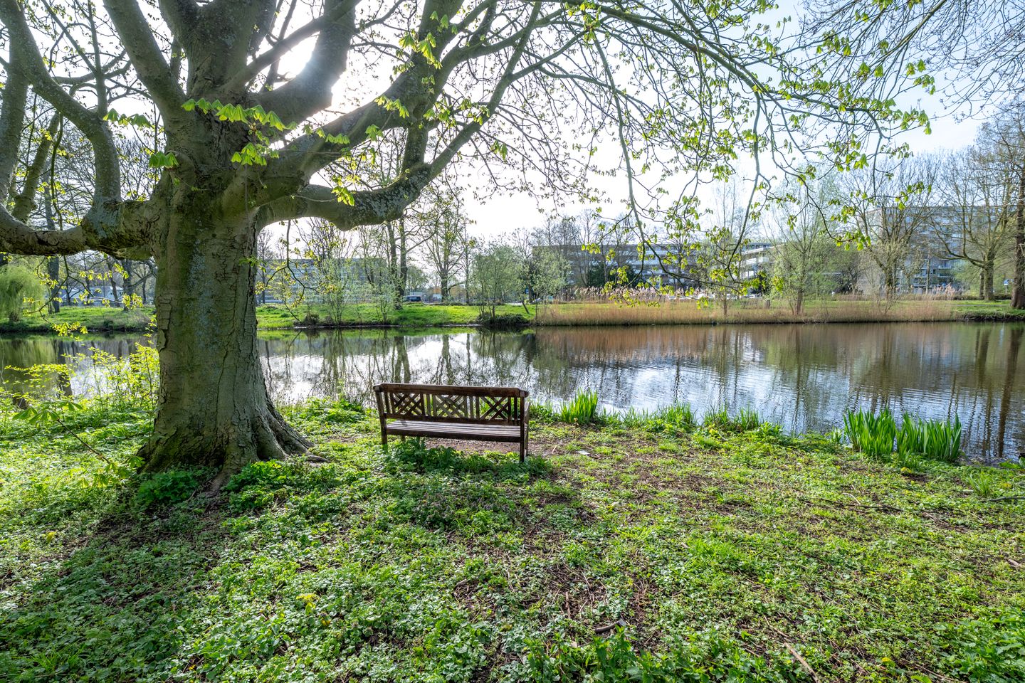 Photo 35 of Patmosdreef 152