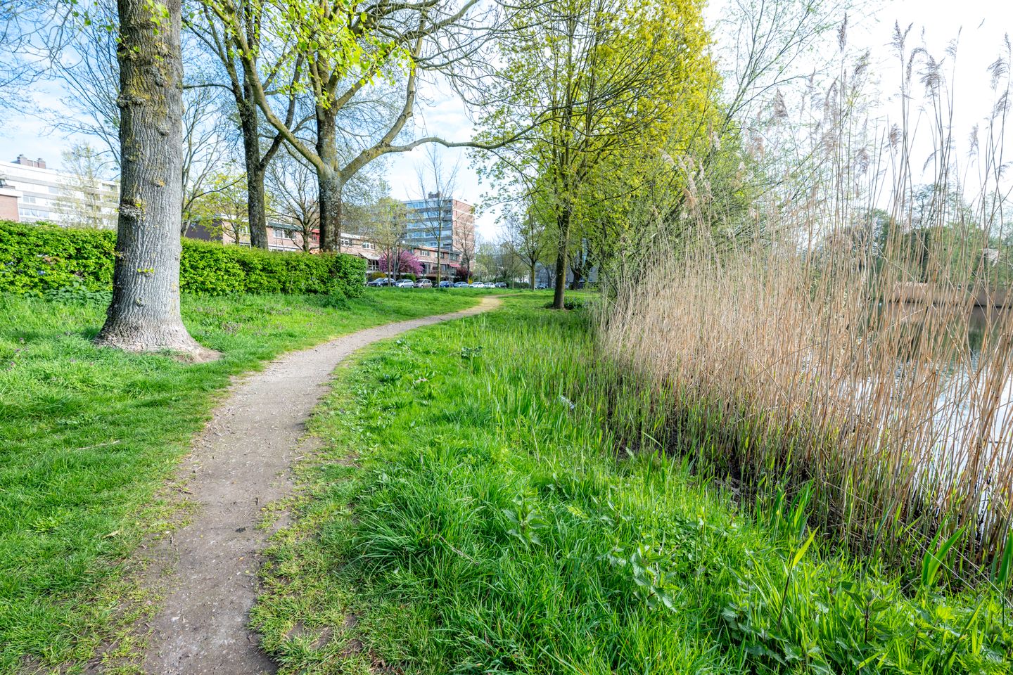 Photo 34 of Patmosdreef 152